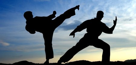 Karate Kyokushin