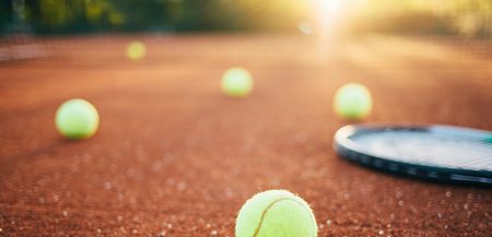 Tenis ziemny