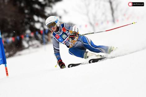 Photo no. 5 (9)
                                                         AZS Winter Cup - Akademicki Puchar Polski w narciarstwie alpejskim 2018/2019
                            